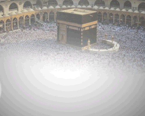 ايلاف